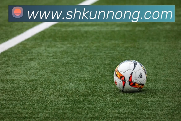 App Interface Preview