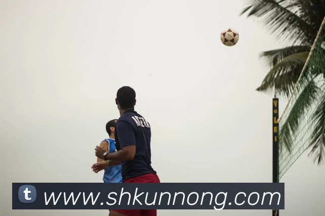 压球首页APP 封面图